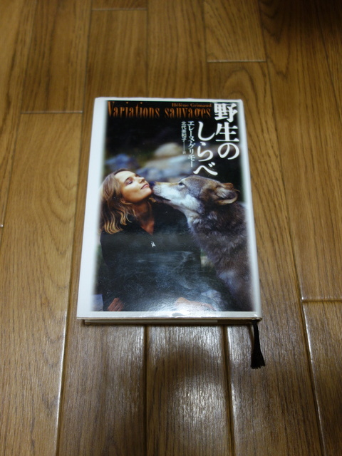 DSC04326.JPG